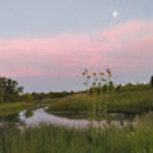 Meet your Posher, Bella